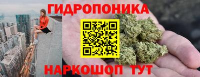 ALPHA PVP Гай