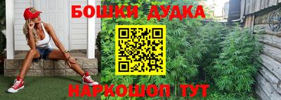 молекула духа Гагарин