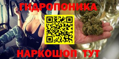 молекула духа Гагарин